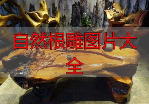 极具收藏价值的实木根雕茶几,自然形态图片大赏(图4) 实木根雕茶几图片大全_根雕艺术历史_自然根雕图片大全