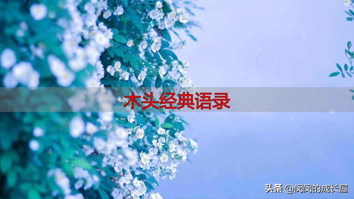 村上春树经典语录,温暖治愈值得收藏(图4) 村上春树治愈语录_村上春树人生感悟_木头经典语录