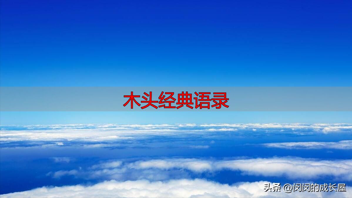 村上春树经典语录,温暖治愈值得收藏(图7) 村上春树治愈语录_木头经典语录_村上春树人生感悟
