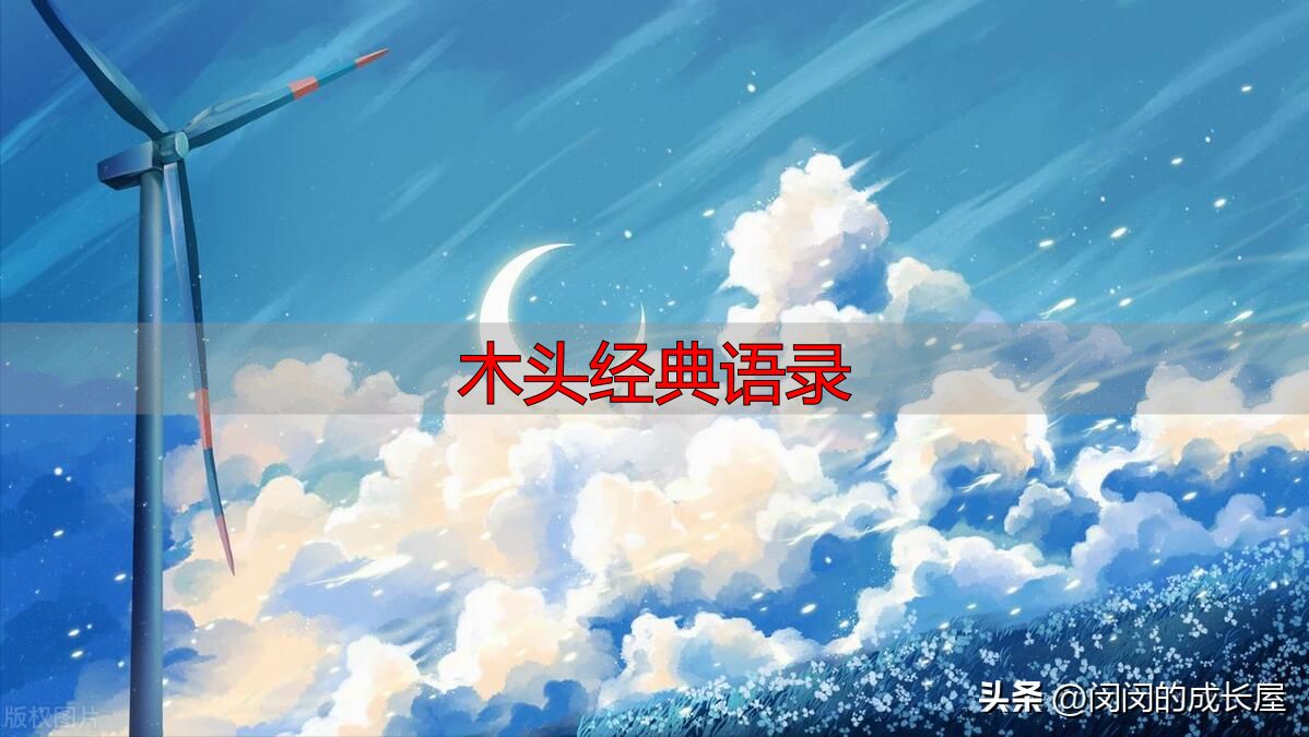 村上春树经典语录,温暖治愈值得收藏(图8) 村上春树人生感悟_村上春树治愈语录_木头经典语录