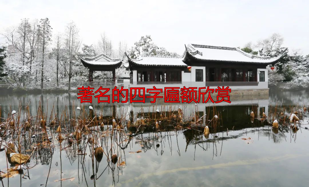 张白林书茗轩匾额文化_上海古猗园每周猗赏_著名的四字匾额欣赏
