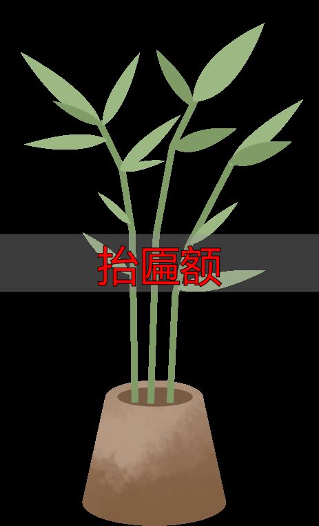 抬匾额_匾额制作工艺流程 清水做法匾额制作方法 浑水做法匾额制作步骤