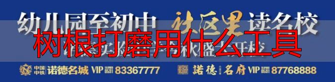 树根打磨用什么工具?根雕新手必看实操指南(图1) 树根打磨用什么工具_陈化木根艺_根雕艺术