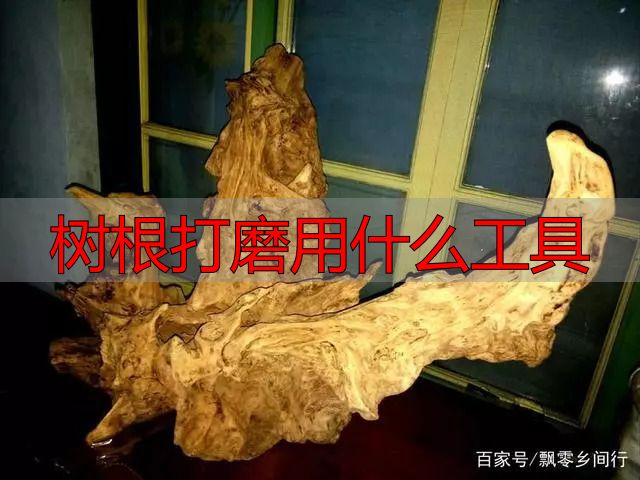树根打磨用什么工具?根雕新手必看实操指南(图10) 根雕艺术_树根打磨用什么工具_陈化木根艺