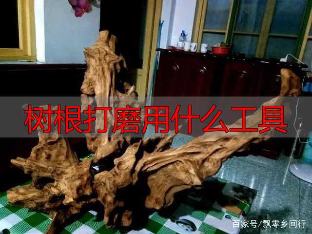 树根打磨用什么工具?根雕新手必看实操指南(图11) 树根打磨用什么工具_根雕艺术_陈化木根艺