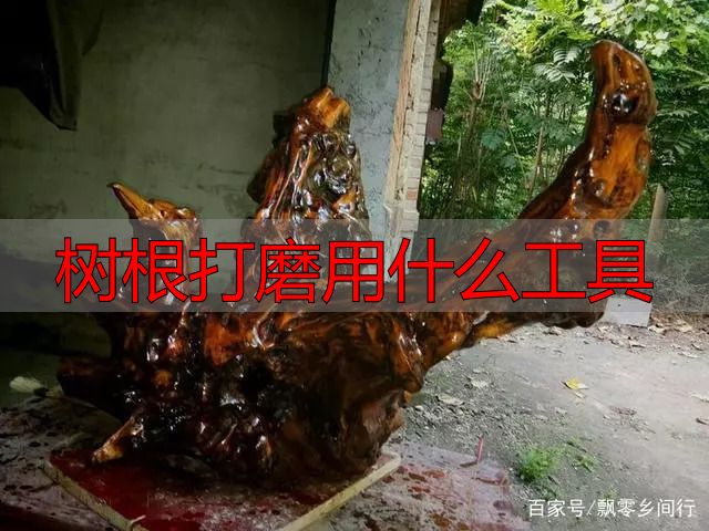 树根打磨用什么工具?根雕新手必看实操指南(图12) 根雕艺术_陈化木根艺_树根打磨用什么工具