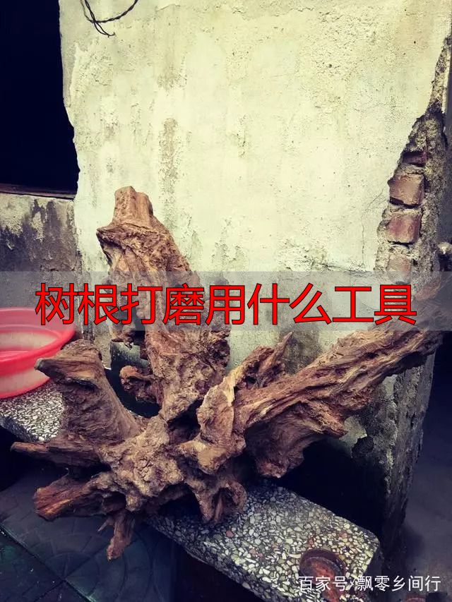 树根打磨用什么工具?根雕新手必看实操指南(图2) 树根打磨用什么工具_根雕艺术_陈化木根艺