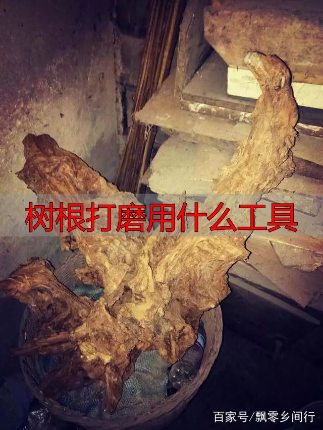 树根打磨用什么工具?根雕新手必看实操指南(图3) 根雕艺术_陈化木根艺_树根打磨用什么工具