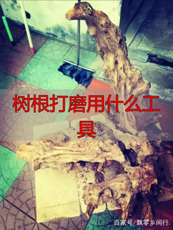 树根打磨用什么工具?根雕新手必看实操指南(图4) 根雕艺术_陈化木根艺_树根打磨用什么工具