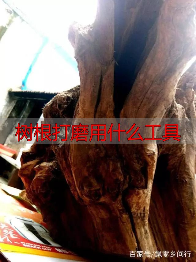 树根打磨用什么工具?根雕新手必看实操指南(图5) 陈化木根艺_树根打磨用什么工具_根雕艺术