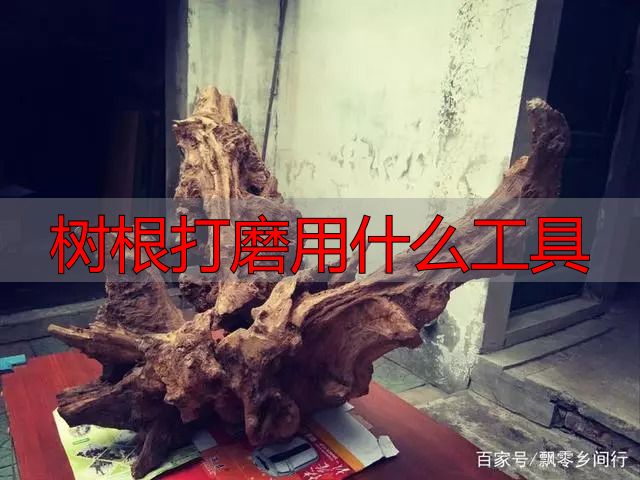 树根打磨用什么工具?根雕新手必看实操指南(图6) 树根打磨用什么工具_陈化木根艺_根雕艺术