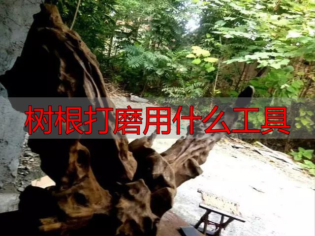 树根打磨用什么工具?根雕新手必看实操指南(图7) 陈化木根艺_根雕艺术_树根打磨用什么工具