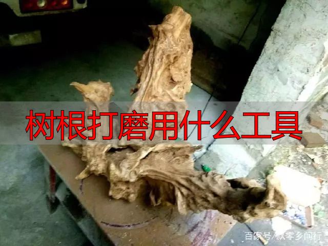 树根打磨用什么工具?根雕新手必看实操指南(图8) 根雕艺术_陈化木根艺_树根打磨用什么工具
