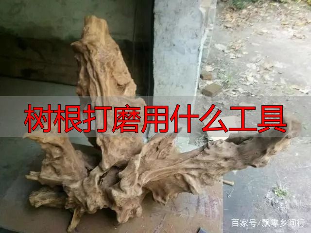 树根打磨用什么工具?根雕新手必看实操指南(图9) 根雕艺术_陈化木根艺_树根打磨用什么工具